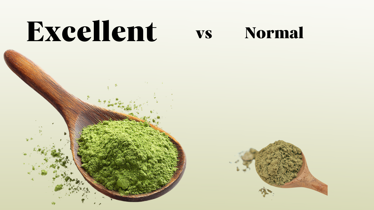 What Makes the Difference Between Average Matcha and the Best Matcha?